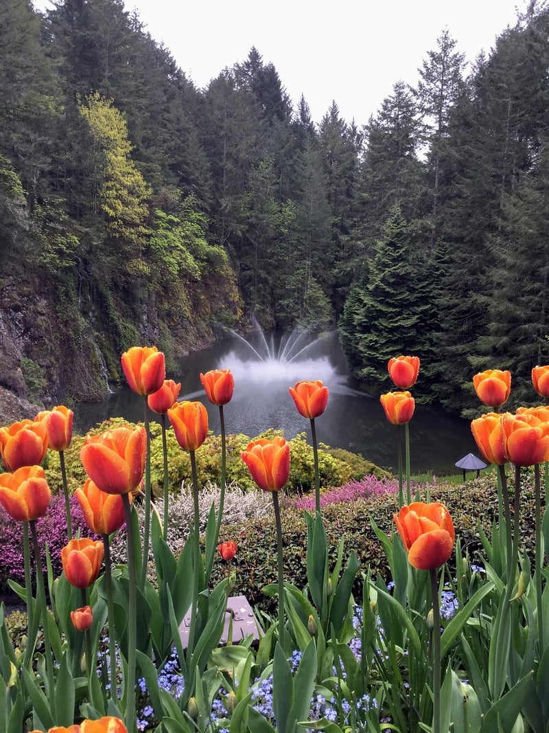Butchart Gardens